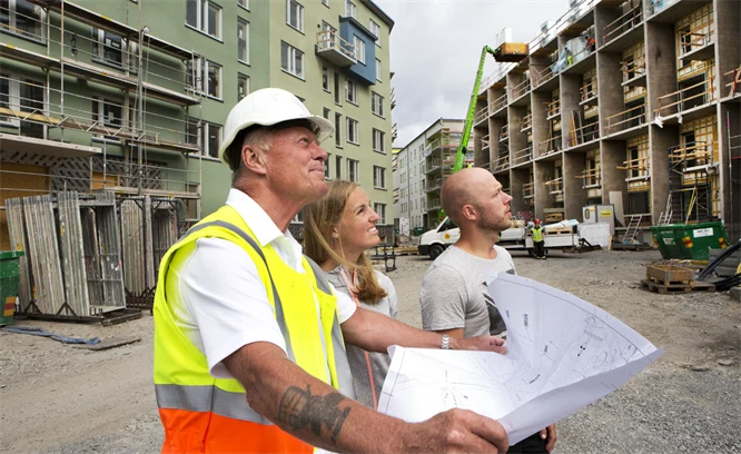 Bild på markläggning av sten, bildbank Scandinav