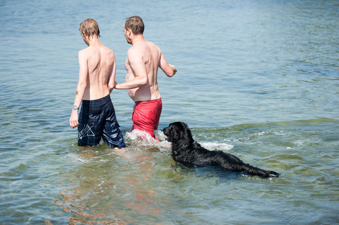 Två personer och en hund badar i havet.