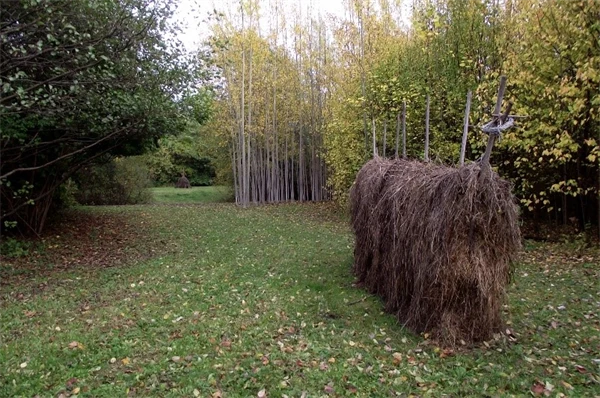 Öppet fält med skog runt omkring. Mitt på fältet står en höhässja full med hö.