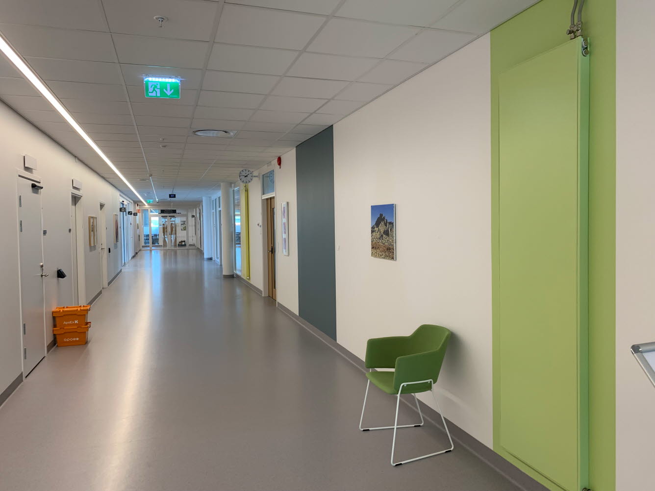 En korridor med vita väggar och inslag av olika gröna nyanser.