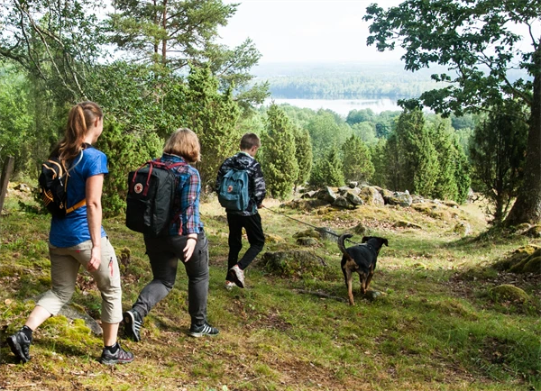 Barn med ryggsäckar och en hund som går i skogen.