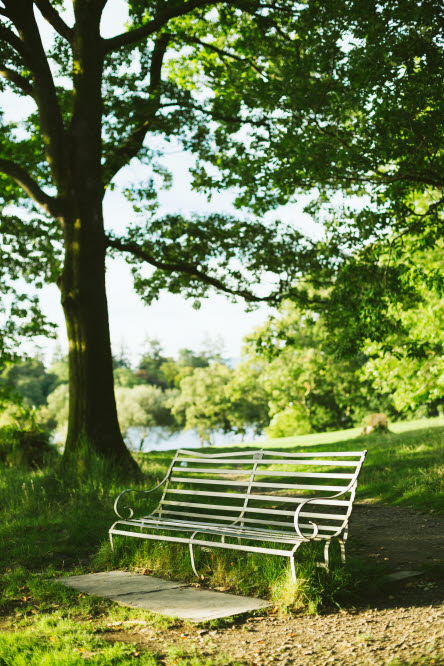 Grönområde med parkbänk i skugga.