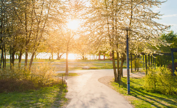Park med grusvägar runt en sjö. solen strilar genom trädens kronor.