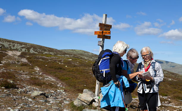 Kvinnor som vandrar. Foto: