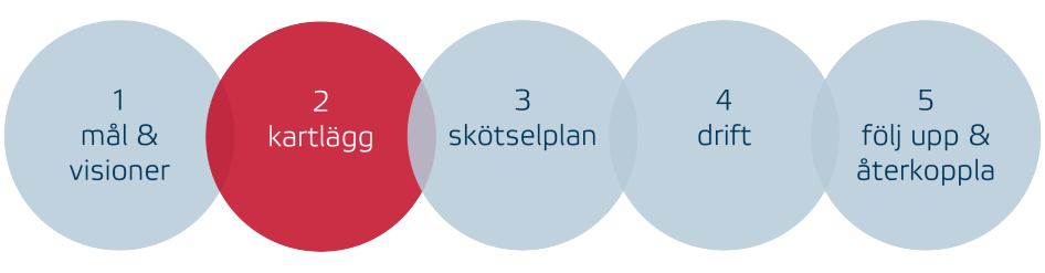 Kartlägg i förvaltningen
