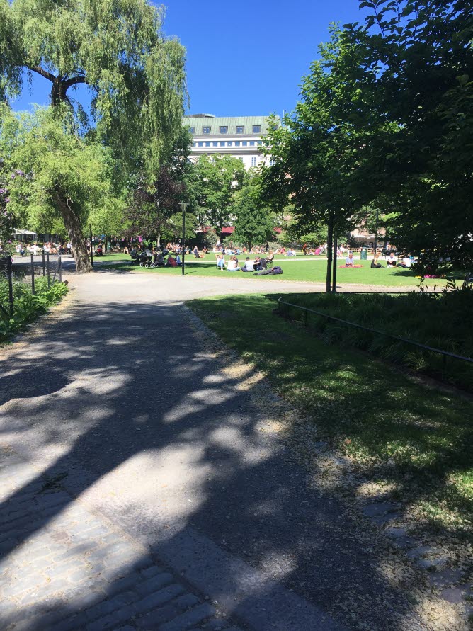 Träd som ger skugga i en park i stadsmiljö.