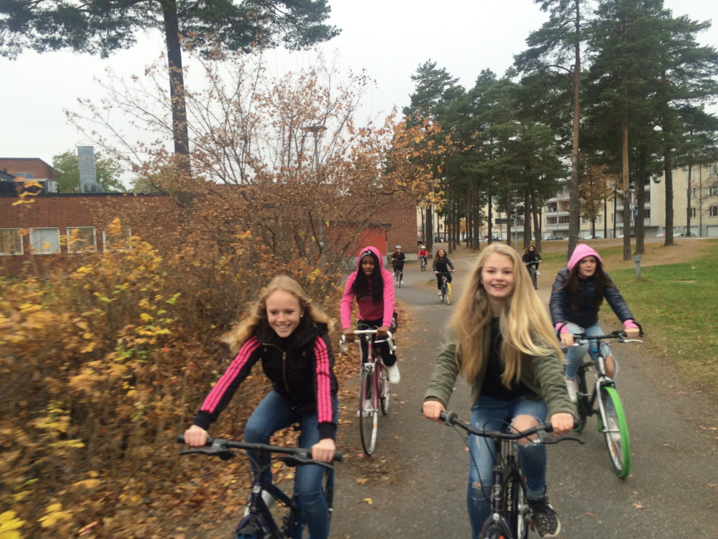 Ungdomar som cyklar genom en skog. Foto: