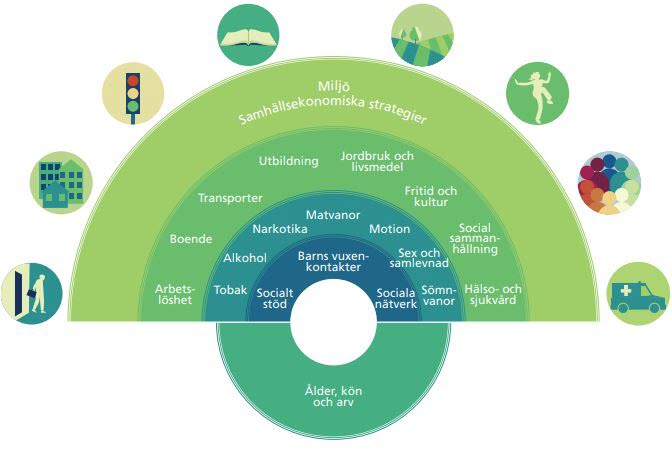 Schematisk illustration i form av en solfjäder som beskriver stödjande strukturer.