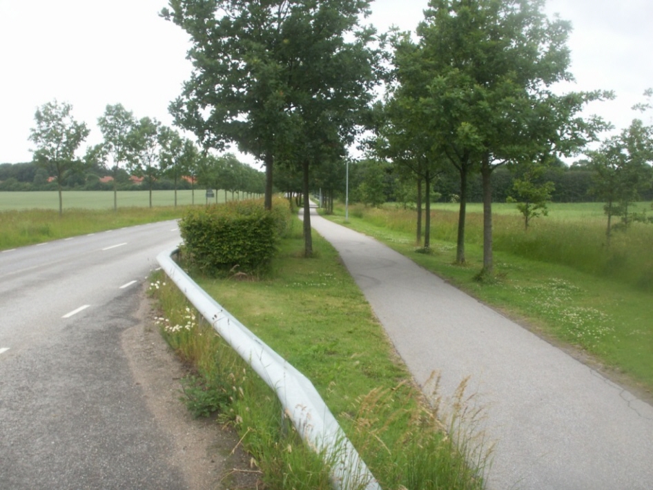 Vindskyddad cykelbana
