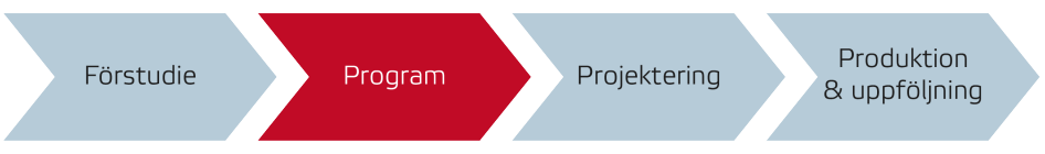 Program i processen