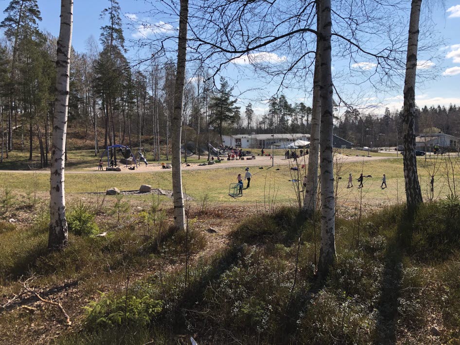 I förgrunden finns stora björkar sen kommer ängen med lekande barn.