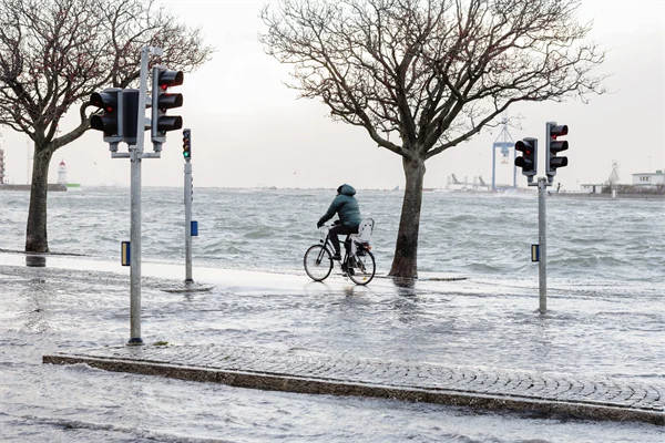 Cyklist på cykelväg där havsnivån stigit till samma nivå som cykelbanan