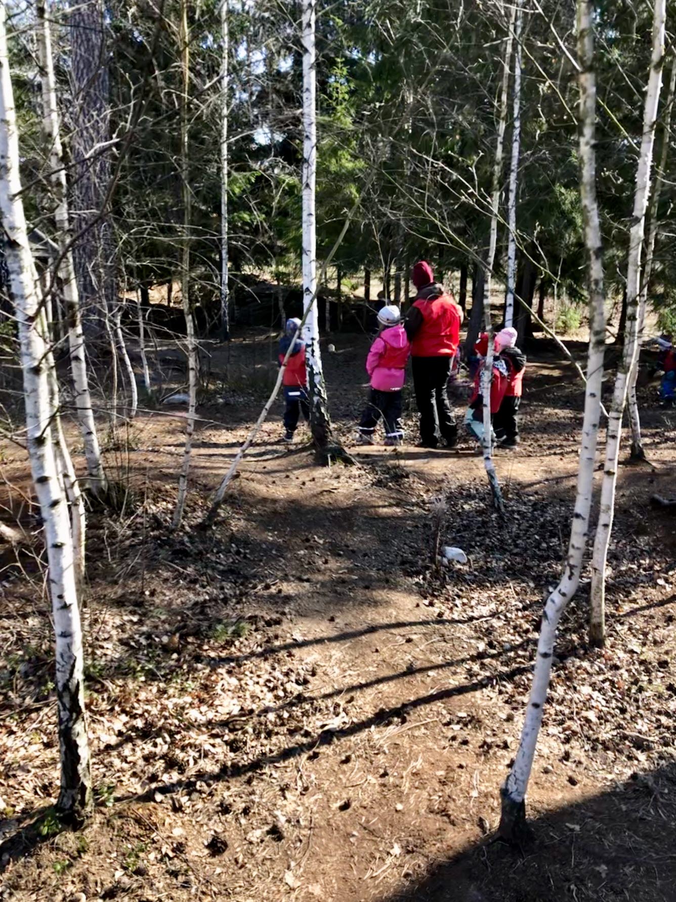 Barn och en vuxen person går i skogen.