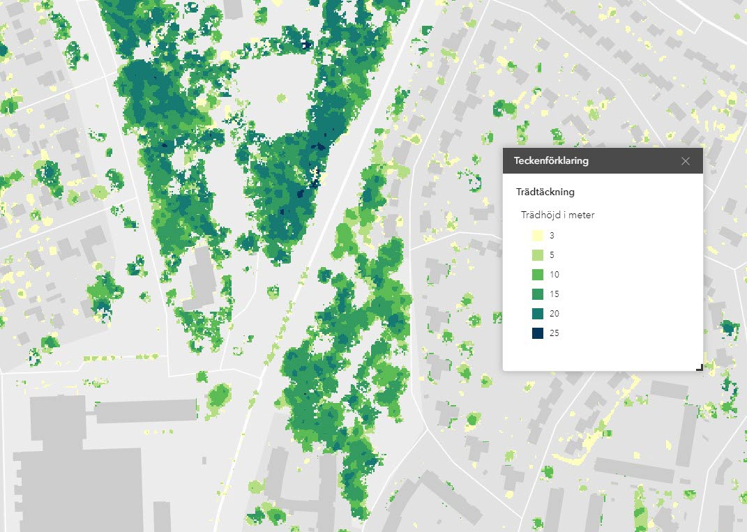 Karta från karttjänsten som visar var träd finns och hur höga de är.   