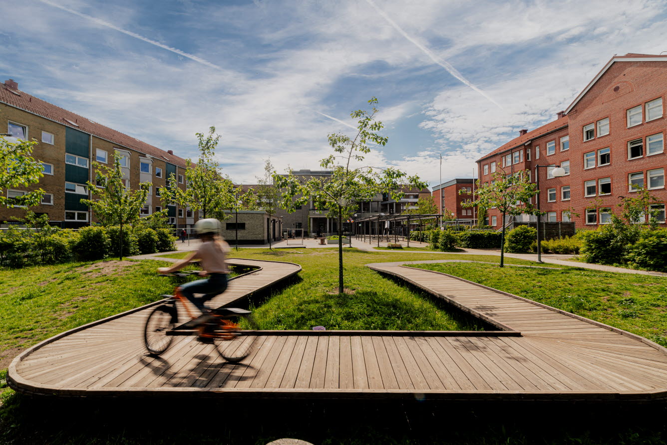 Barn som cyklar på träspänger som går genom det höga gräset.