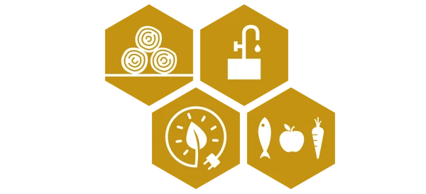 Fyra ikoner som illustrerar försörjande ekosystemtjänster.