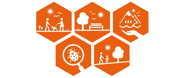 Fem ikoner som illustrerar kulturella ekosystemtjänster.