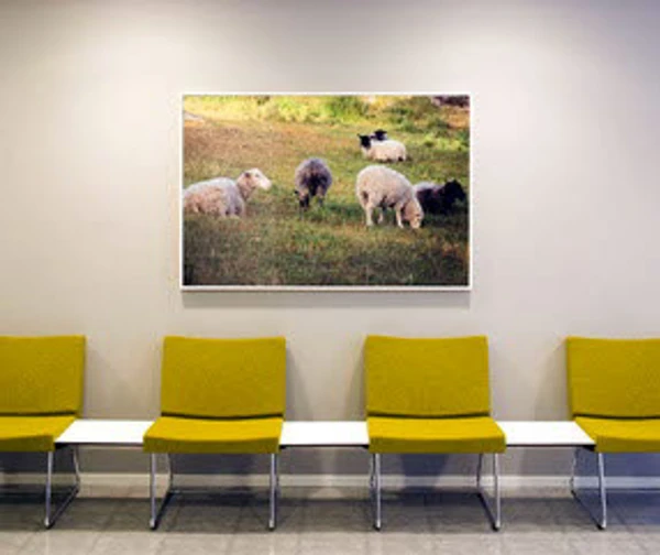 Foto på väntrum med tavla på väggen med naturmotiv.