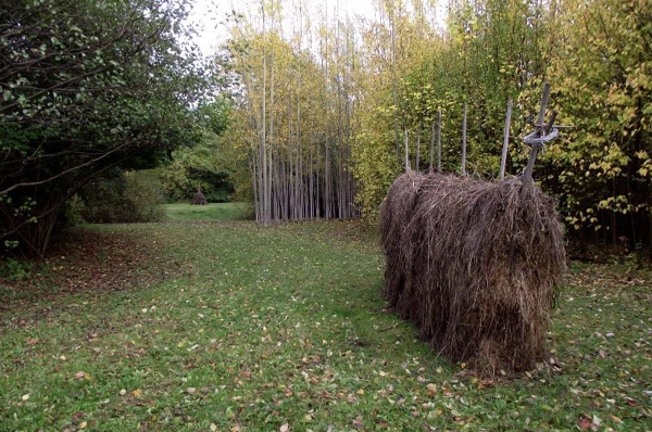 Öppet fält med skog runt omkring. Mitt på fältet står en höhässja full med hö.