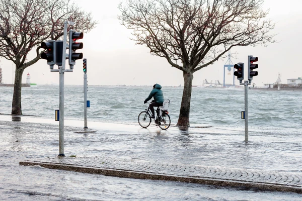 Cyklist på cykelväg där havsnivån stigit till samma nivå som cykelbanan
