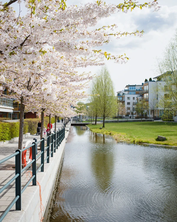Bostadshus i Stockholm med vatten framför.