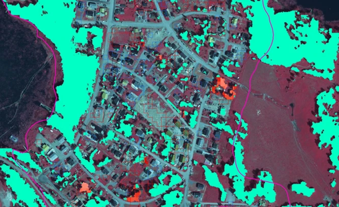 Bilden visar ett utsnitt med karterad trädtäckning (grönt) 2019 och förändringar från 2020 (röda och blå vektorer).