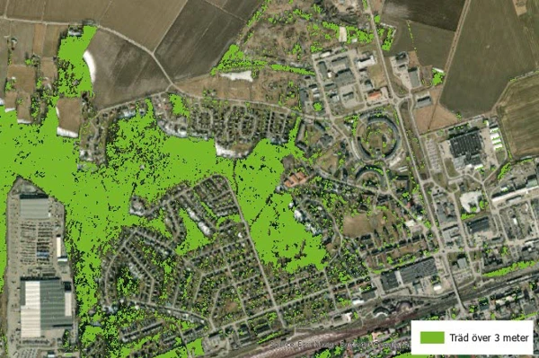 ortofoto av en stadsdel där vegetation över 3 meter är markerade.
