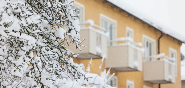 Ljusgult hus.